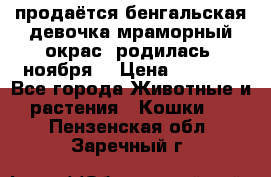 продаётся бенгальская девочка(мраморный окрас).родилась 5ноября, › Цена ­ 8 000 - Все города Животные и растения » Кошки   . Пензенская обл.,Заречный г.